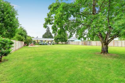 Create a Flat Back Yard