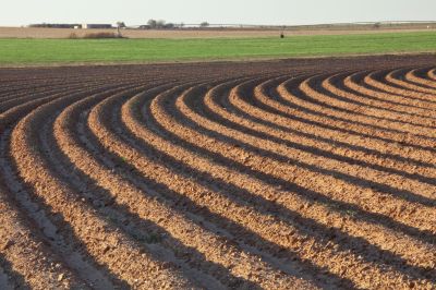 Get in Contact With a Professional Today