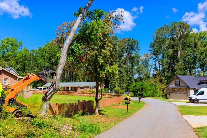 Contact About Excavation Service