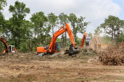 Tree Clearing - Tree Clearing Murrieta, California